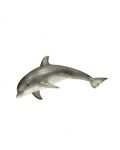 Фигурка Schleich от серията Дивия живот - Океан: Делфин - 1t