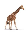 Фигурка Schleich от серията Дивия живот - Африка: Жираф - женски - 1t