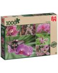 Пъзел Jumbo от 1000 части - Холандски орхидеи - 1t