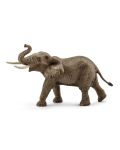 Фигурка Schleich от серията Дивия живот - Африка: Африкански слон - мъжки с вдигнат хобот - 1t