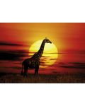 Пъзел Heye от 1000 части - Слънчев жираф, Слънчева светлина - 2t