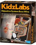 Образователен комплект 4M KidzLabs - Храносмилателна система, звънчева инсталация - 1t
