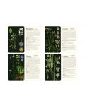 50 Plants that Heal: Discover Medicinal Plants - A Card Deck - 7t