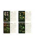 50 Plants that Heal: Discover Medicinal Plants - A Card Deck - 3t