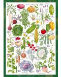Пъзел Schmidt от 1000 части - Зеленчукова градина - 2t
