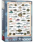 Пъзел Eurographics от 1000 части –  Морска риба - 1t