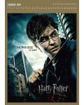 Стенен Календар Danilo 2019 - Harry Potter Deluxe - 2t