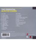 Alice In Chains - The Essential Alice In Chains (2 CD) - 2t