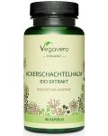 Ackerschachtelhalm Bio Extrakt, 90 капсули, Vegavero - 1t