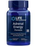 Adrenal Energy Formula, 120 веге капсули, Life Extension - 1t