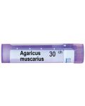 Agaricus muscarius 30CH, Boiron - 1t