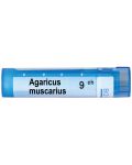 Agaricus muscarius 9CH, Boiron - 1t