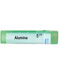 Alumina 5CH, Boiron - 1t