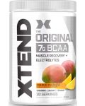 Xtend BCAAs, манго, 435 g, Scivation - 1t