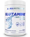 Glutamine Recovery Amino, natural, 500 g, AllNutrition - 1t