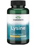 Lysine, 500 mg, 100 капсули, Swanson - 1t