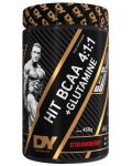 HIT BCAA 4:1:1 + Glutamine, ягода, 450 g, Dorian Yates Nutrition - 1t