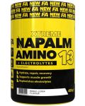 Xtreme Napalm Amino 13 + Electrolytes, fruit massage, 450 g, FA Nutrition - 1t