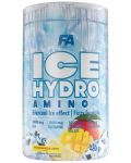 Ice Hydro Amino, frozen mango & lemon, 480 g, FA Nutrition - 1t