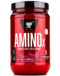 Amino X, диня, 435 g, BSN - 1t