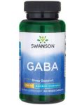 GABA, 750 mg, 60 растителни капсули, Swanson - 1t