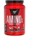 Amino X, диня, 1000 g, BSN - 1t