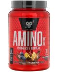 Amino X, плодов пунш, 1000 g, BSN - 1t