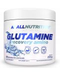 Glutamine Recovery Amino, natural, 250 g, AllNutrition - 1t