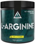 L-Arginine Powder, 300 g, Lazar Angelov Nutrition - 1t