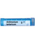 Antimonium tartaricum 9CH, Boiron - 1t