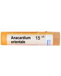 Anacardium orientale 15CH, Boiron - 1t