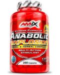 Anabolic Explosion, 200 капсули, Amix - 1t