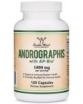 Andrographis with AP-Bio, 120 капсули, Double Wood - 1t