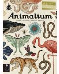 Animalium - 1t