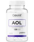 AOL Arginine Ornithine Lysine, 120 капсули, OstroVit - 1t