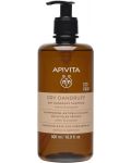 Apivita Шампоан против сух пърхот, 500 ml - 1t