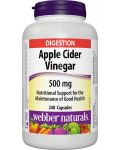 Apple Cider Vinegar, 500 mg, 240 капсули, Webber Naturals - 1t