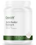 Artichoke Extract Powder, 100 g, OstroVit - 1t
