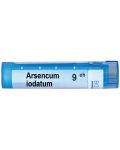 Arsencum iodatum 9CH, Boiron - 1t