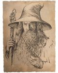 Арт принт Weta Movies: The Lord of the Rings - Portrait of Gandalf the Grey - 1t