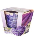 Ароматна свещ Primo Home - Lavender fields - 2t