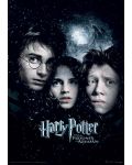 Арт принт Pyramid Movies: Harry Potter - Prisoner Of Azkaban - 1t
