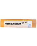 Arsenicum album 15CH, Boiron - 1t
