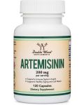 Artemisinin, 120 капсули, Double Wood - 1t