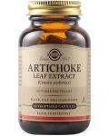 Artichoke Leaf Extract, 60 растителни капсули, Solgar - 1t