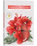 Ароматни свещи Bispol Aura - Hibiscus-White Sage, 6 броя - 1t
