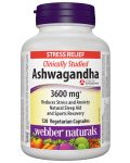 Ashwagandha, 300 mg, 120 капсули, Webber Naturals - 1t