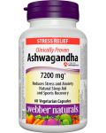 Ashwagandha, 600 mg, 60 капсули, Webber Naturals - 1t