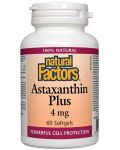 Astaxanthin Plus, 60 капсули, Natural Factors - 1t