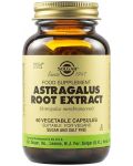 Astragalus Root Extract, 60 растителни капсули, Solgar - 1t